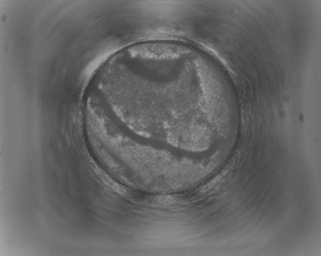 X0000076091463200610152306