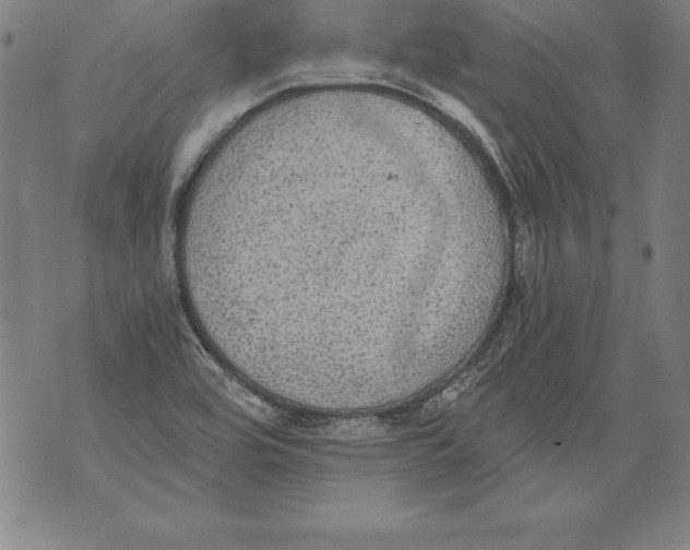 X0000076091464200610152306