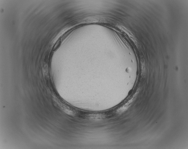 X0000076091465200610152306