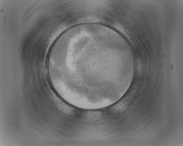 X0000076091466200610152306