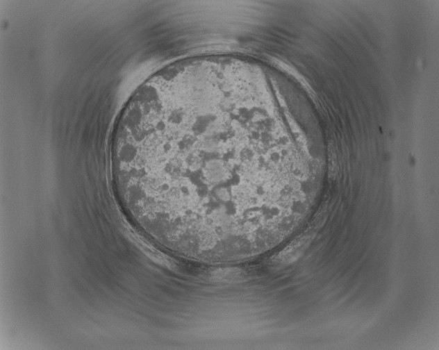 X0000076091467200610152306