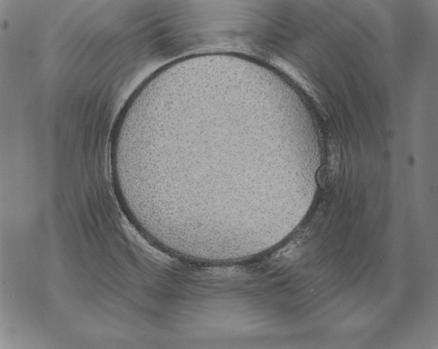 X0000076091468200610152306