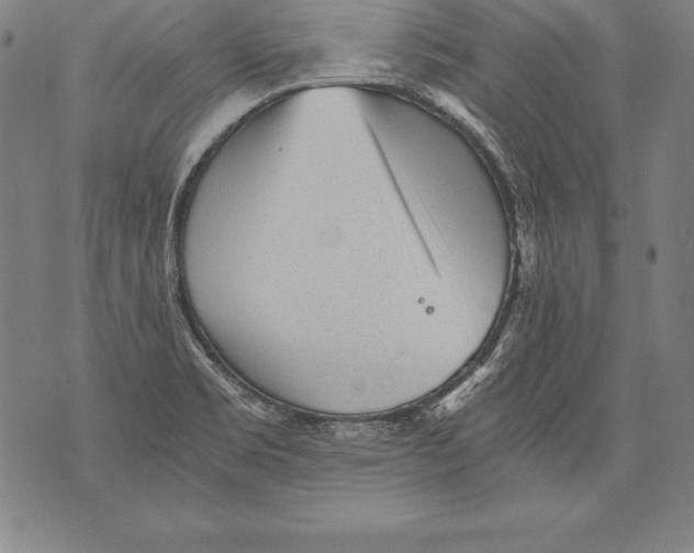 X0000076091469200610152306