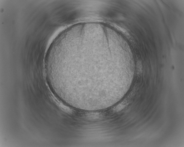 X0000076091470200610152306