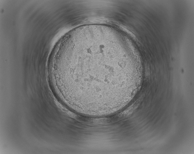 X0000076091471200610152306