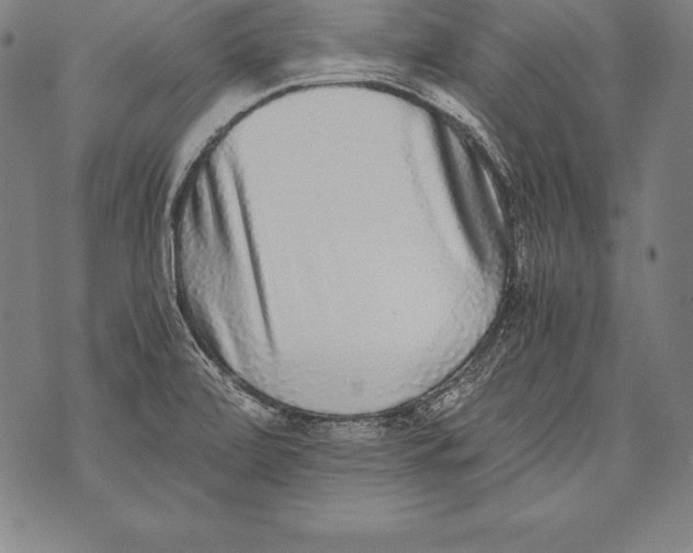 X0000076091472200610152306