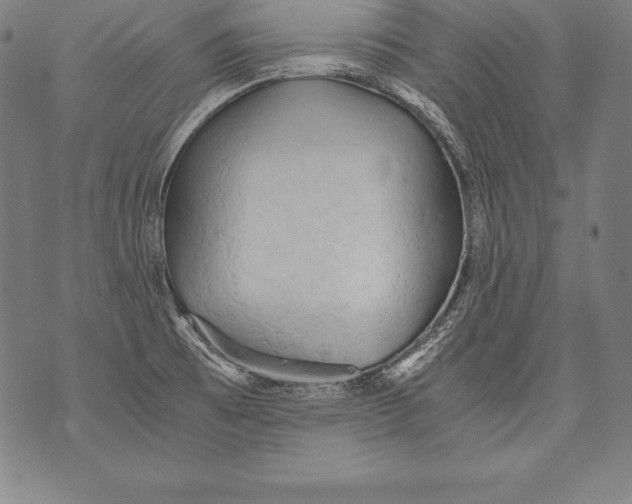 X0000076091473200610152306