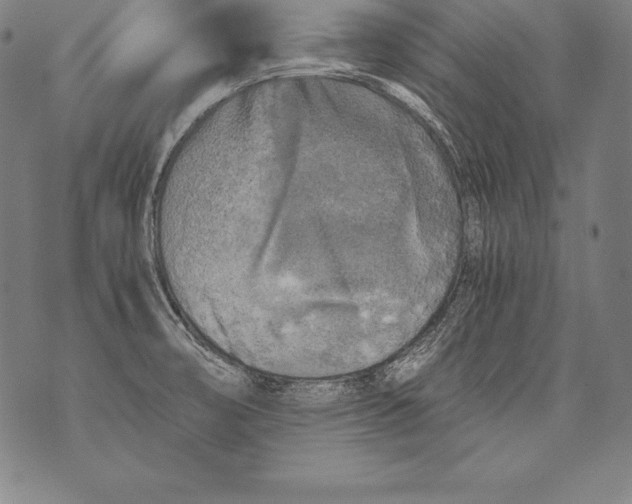 X0000076091474200610152306