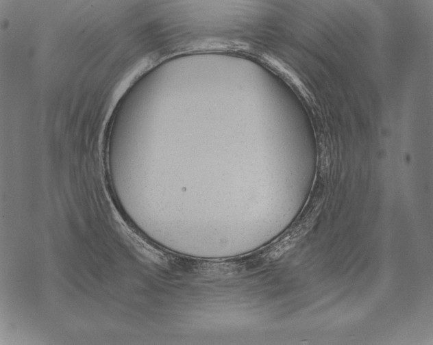 X0000076091475200610152306