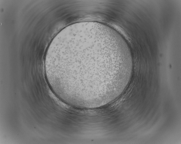 X0000076091476200610152306