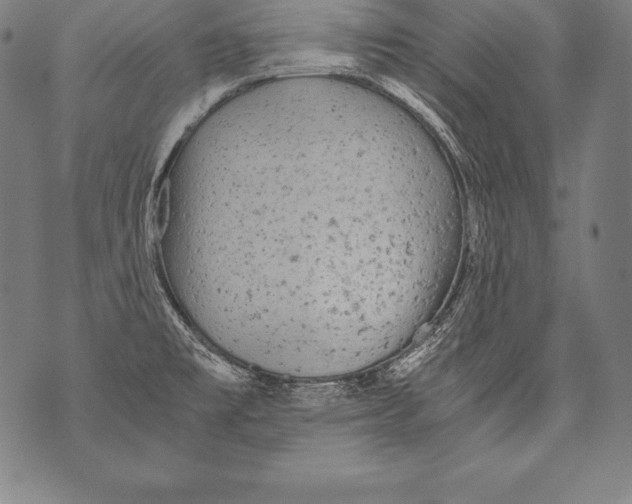 X0000076091477200610152306