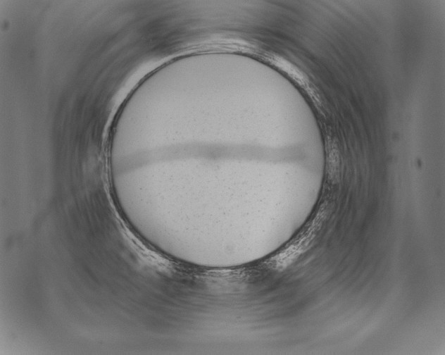 X0000076091478200610152306