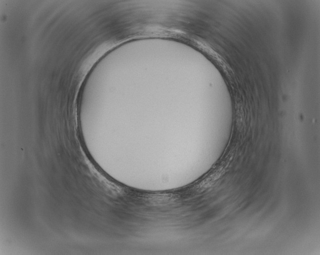 X0000076091479200610152306