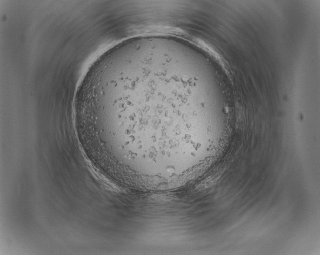 X0000076091480200610152306