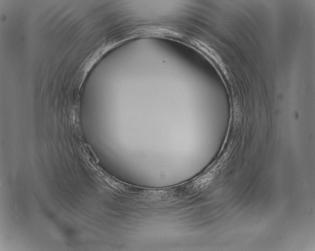 X0000076091481200610152306