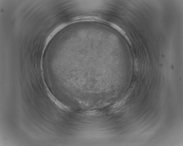 X0000076091482200610152306