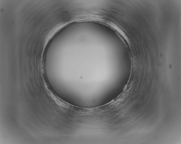 X0000076091485200610152306