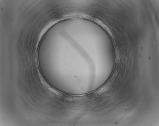 X0000076091486200610152306