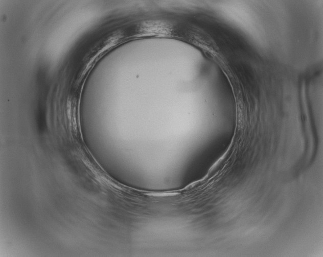 X0000076091487200610152306