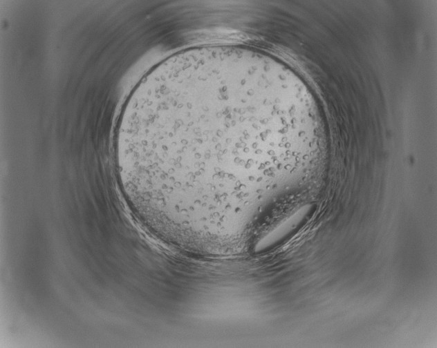 X0000076091488200610152306