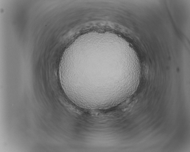 X0000076091489200610152305