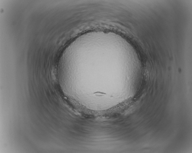 X0000076091490200610152305