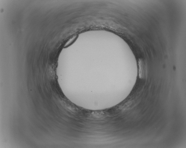 X0000076091491200610152305