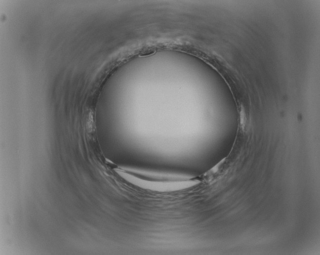 X0000076091492200610152305