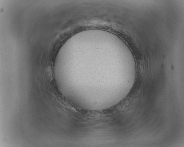 X0000076091493200610152305