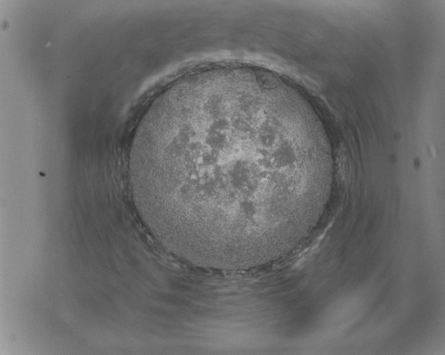 X0000076091494200610152305