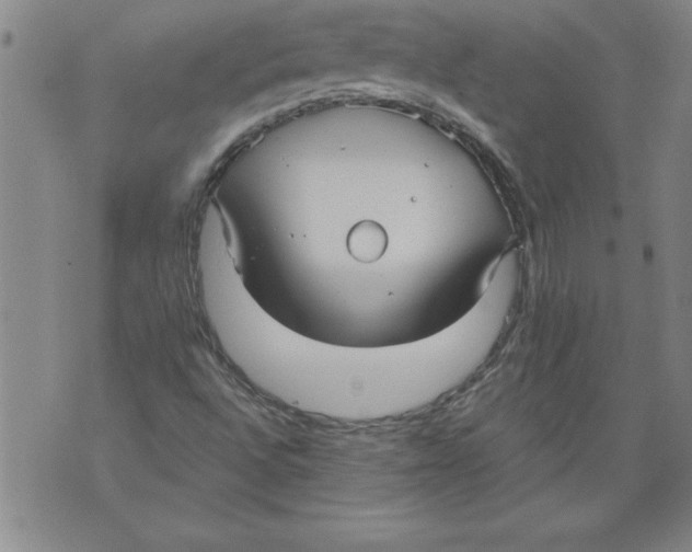 X0000076091496200610152305