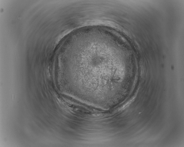 X0000076091497200610152305