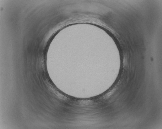 X0000076091498200610152305