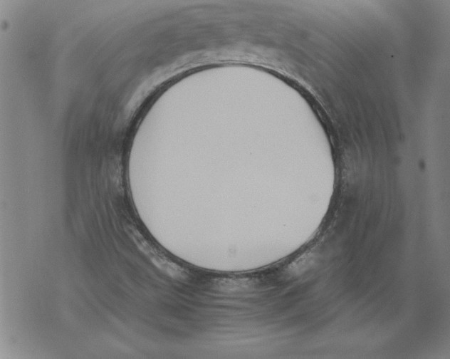 X0000076091499200610152305