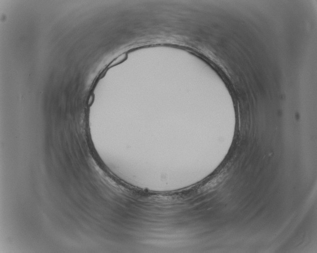 X0000076091500200610152305