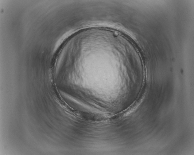 X0000076091501200610152305