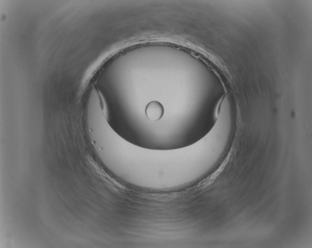 X0000076091502200610152305