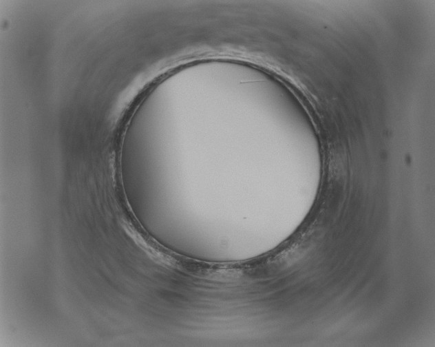 X0000076091503200610152305