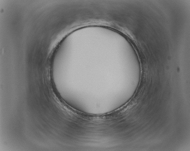 X0000076091504200610152305