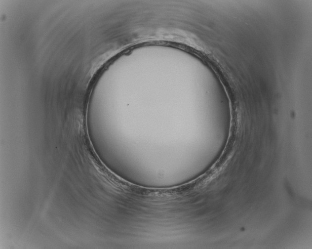 X0000076091505200610152305