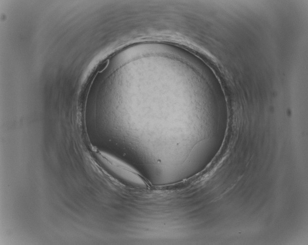 X0000076091506200610152305