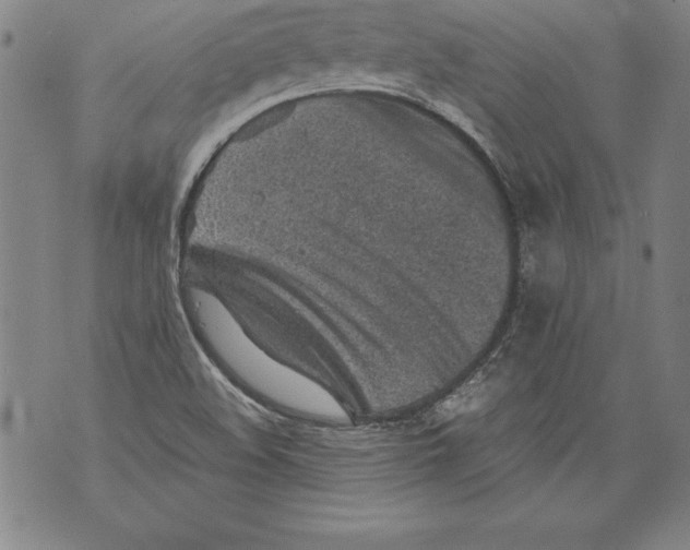 X0000076091508200610152305