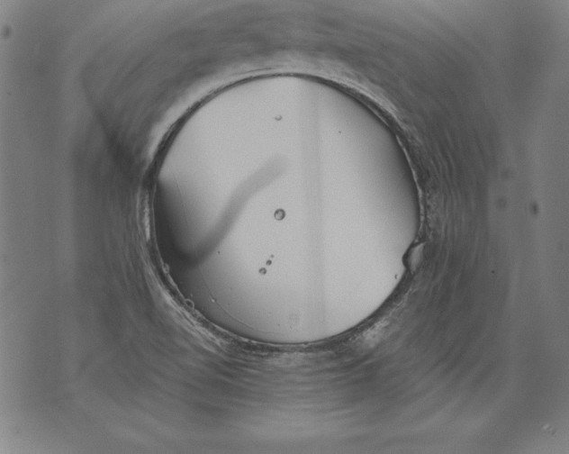 X0000076091510200610152305