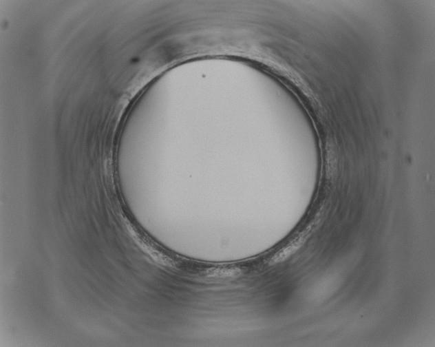 X0000076091513200610152305