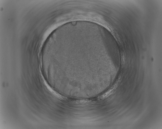 X0000076091515200610152305