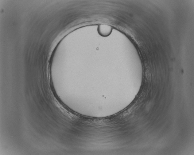 X0000076091516200610152305