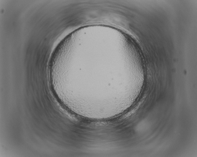 X0000076091517200610152305