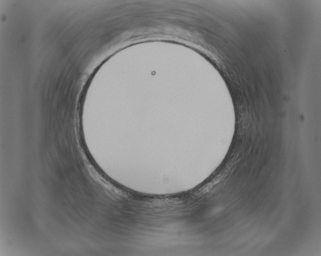 X0000076091518200610152305