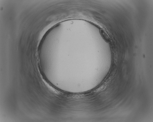 X0000076091519200610152305