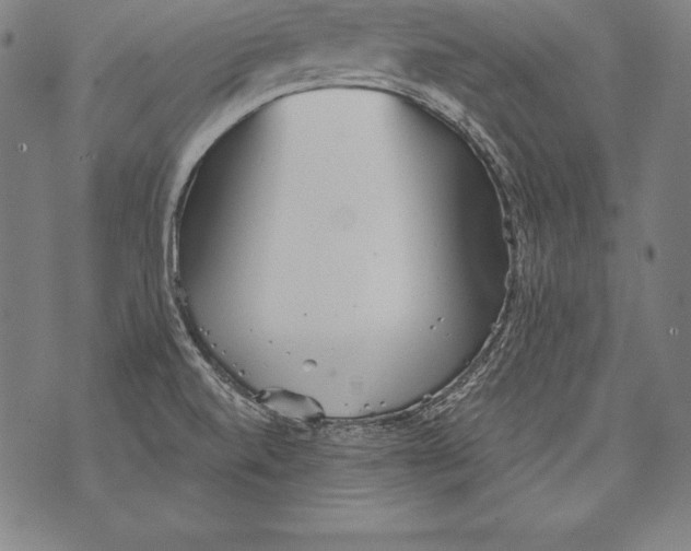 X0000076091520200610152305